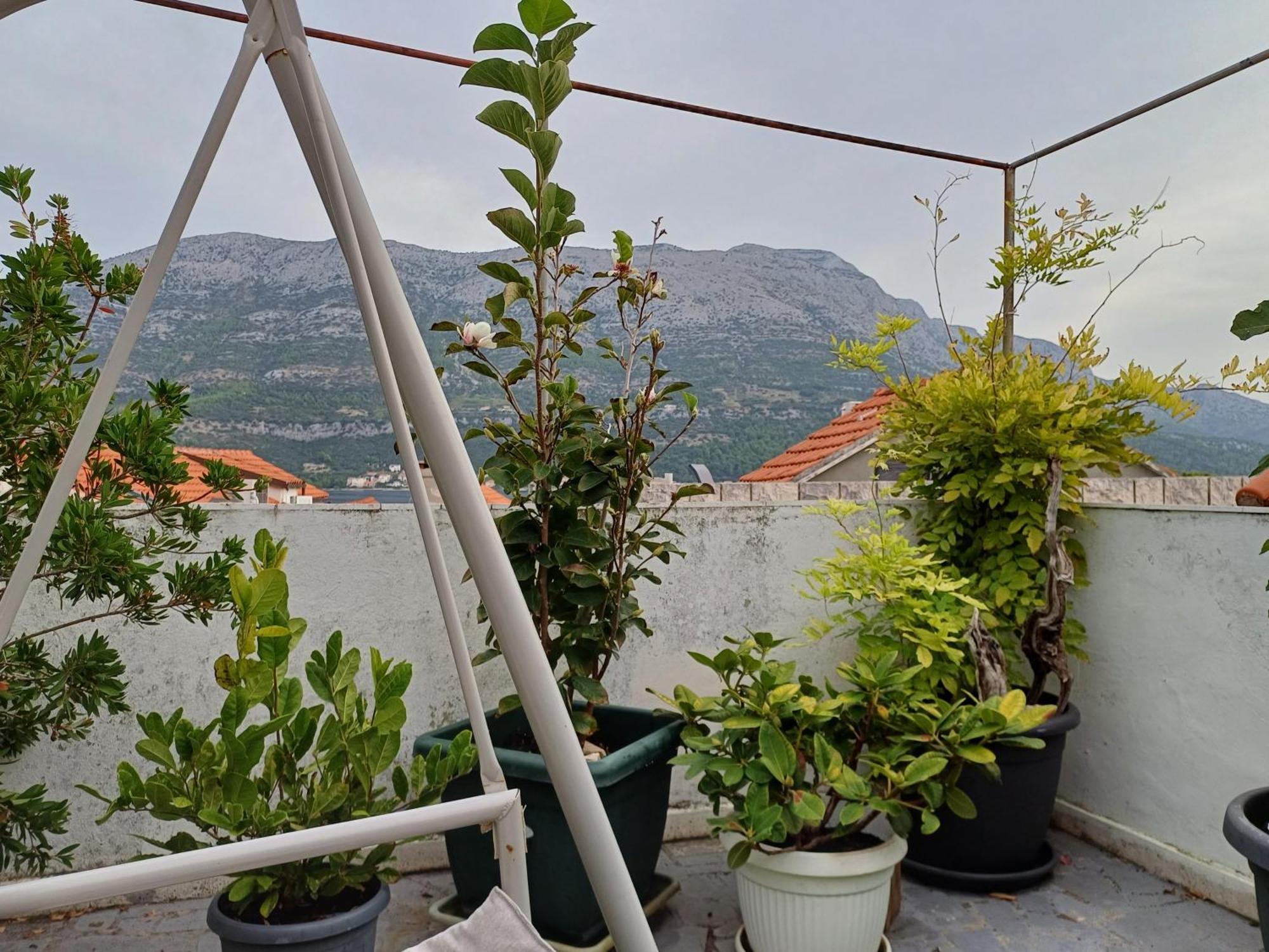 Guest House Jungher Korcula Town Exterior photo