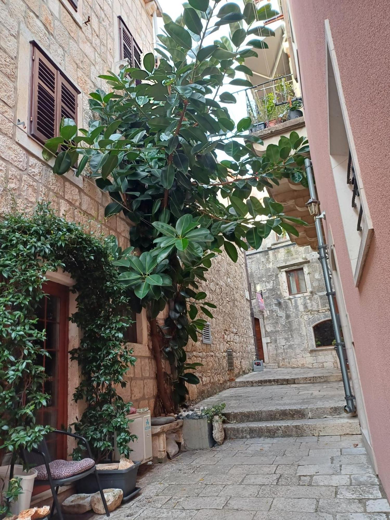 Guest House Jungher Korcula Town Exterior photo